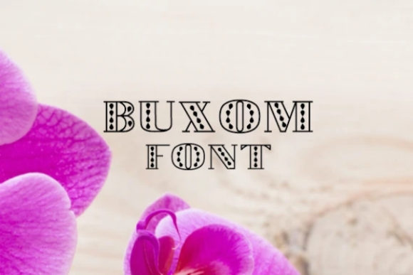 Buxom Display Font: Bold, Readable & Scroll-Stopping
