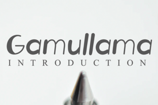 Gamullama: A Friendly Display Font That Makes Your Brand Feel Like Home