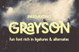 Grayson: A Display Font That Makes Campaigns Feel Human